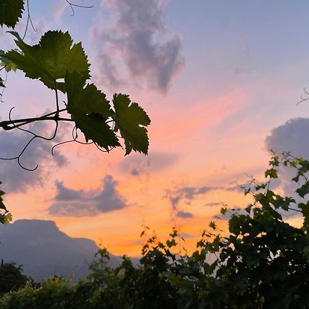 Pension Etschblick B&B Frangarto Bagian luar foto