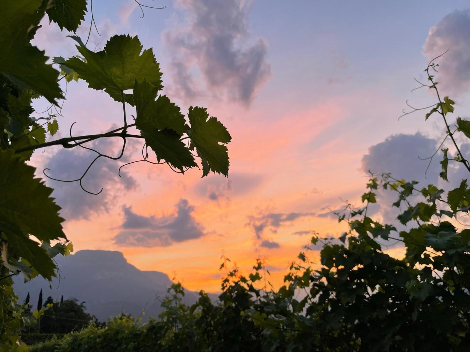Pension Etschblick B&B Frangarto Bagian luar foto